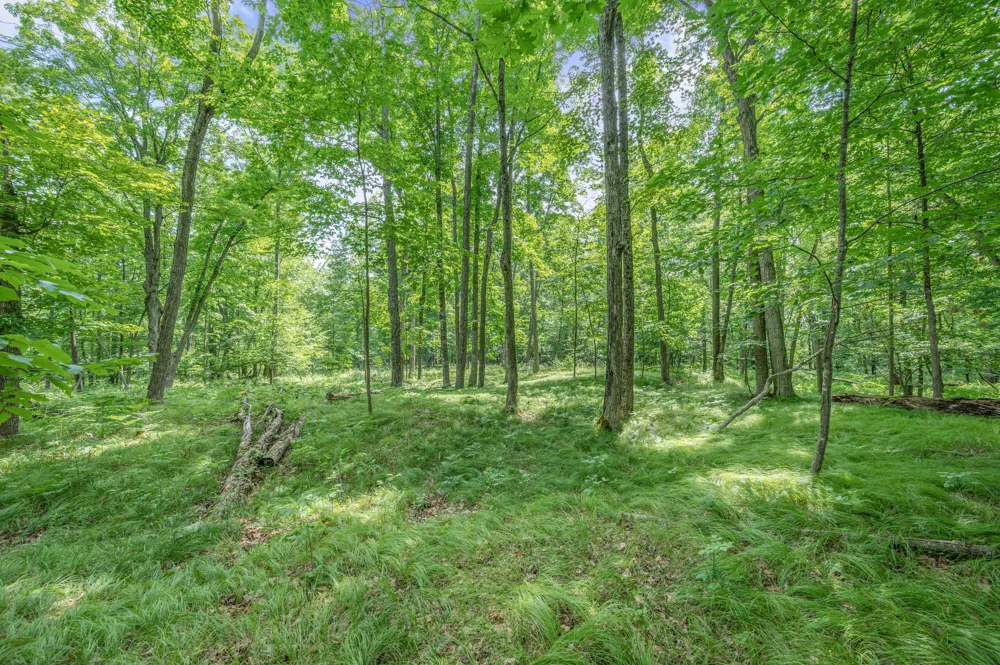 8558 Monterey  Dr Evart, MI 49631