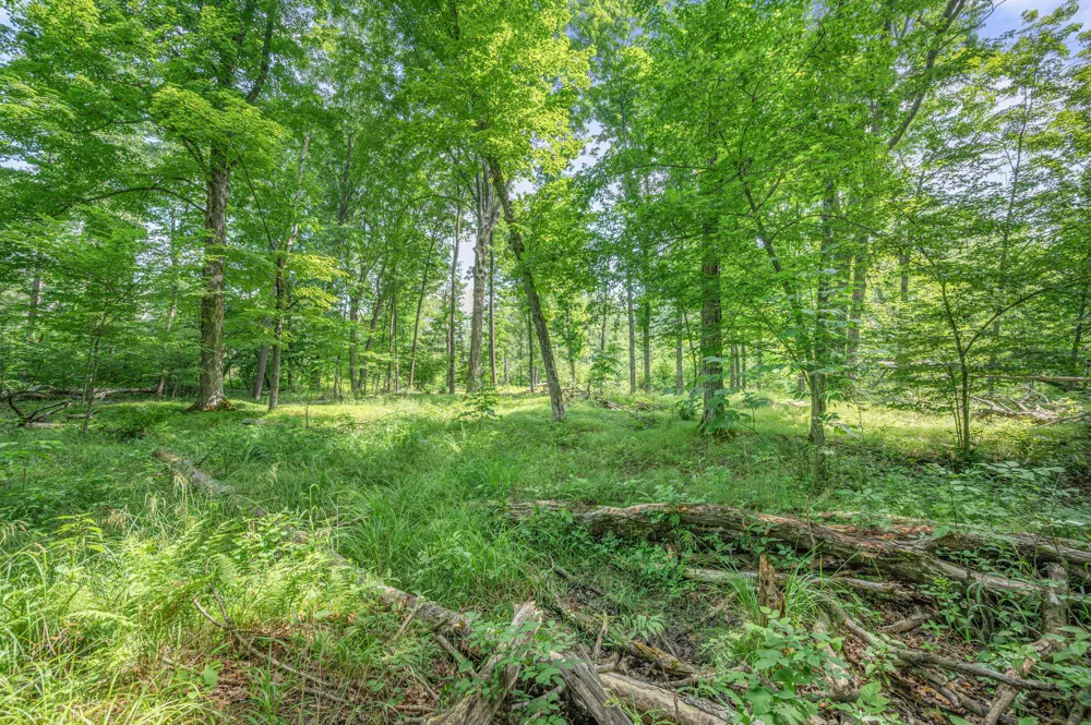 8558 Monterey  Dr Evart, MI 49631
