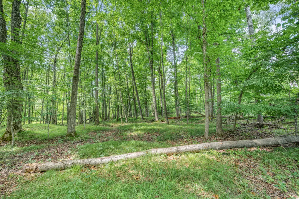 8558 Monterey  Dr Evart, MI 49631