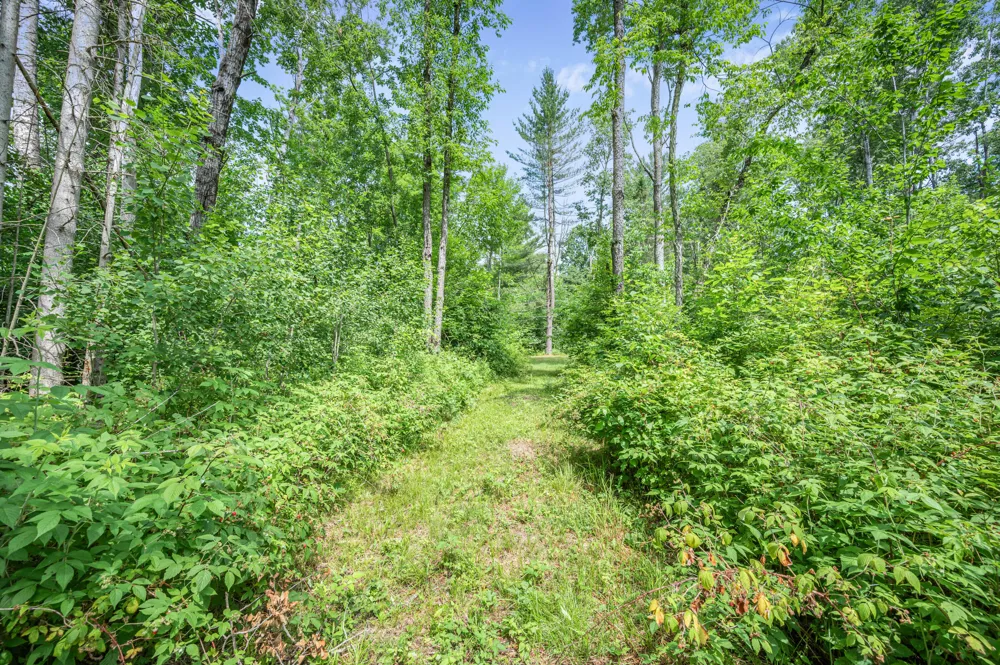8558 Monterey  Dr Evart, MI 49631