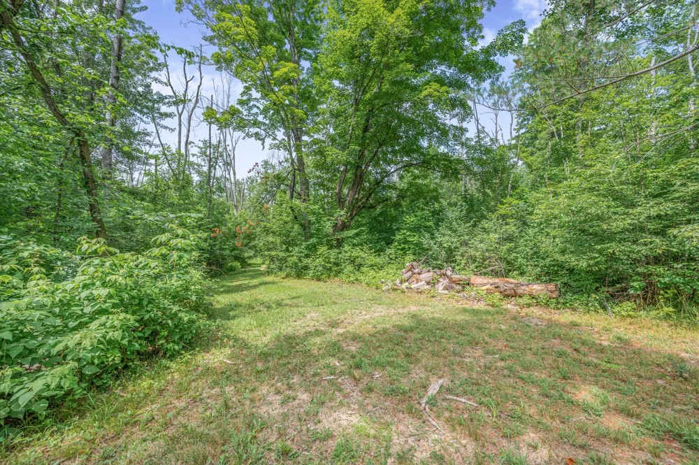 8558 Monterey  Dr Evart, MI 49631