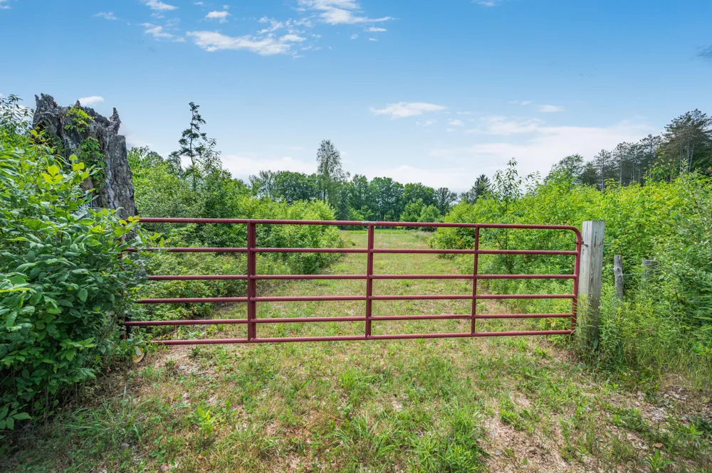 8558 Monterey  Dr Evart, MI 49631