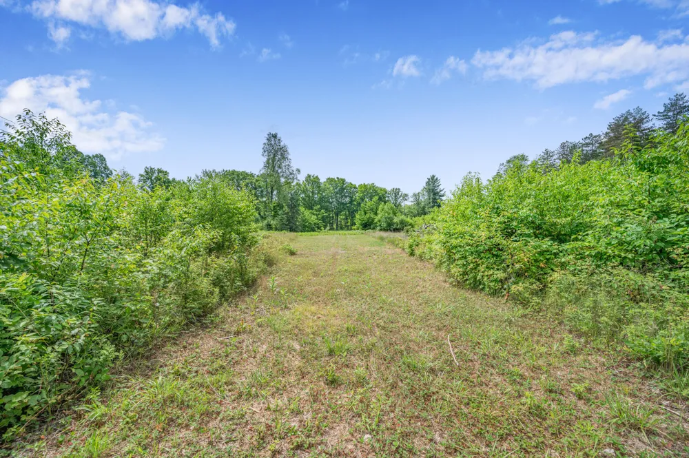 8558 Monterey  Dr Evart, MI 49631