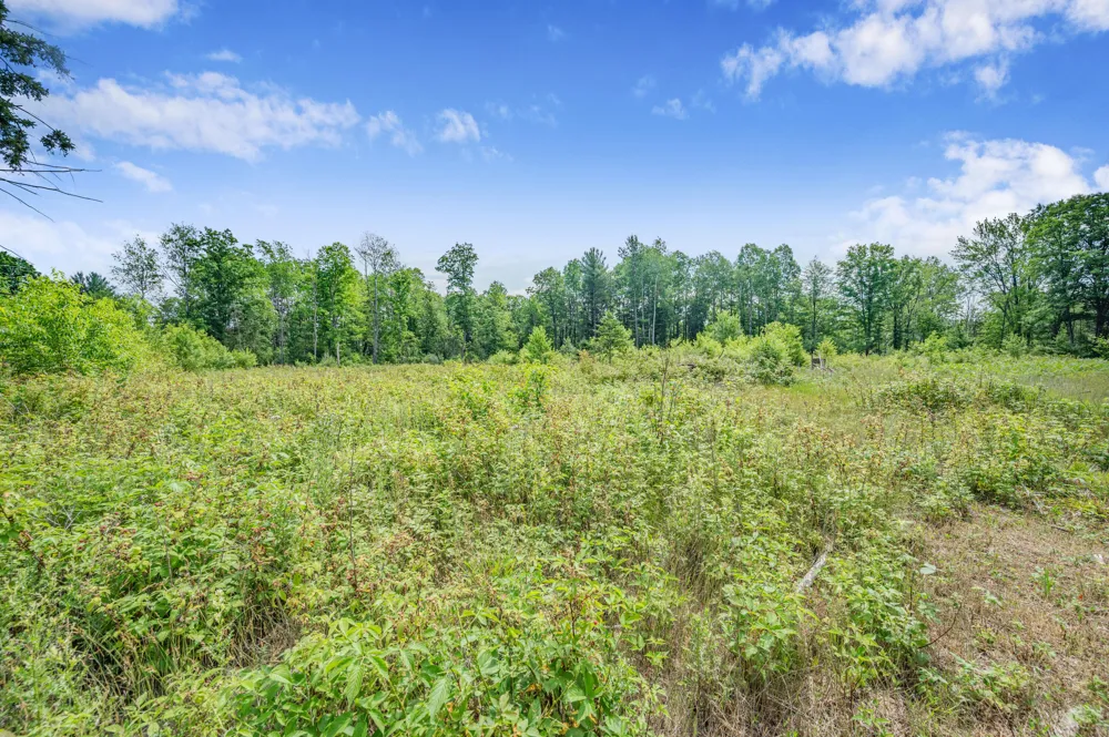 8558 Monterey  Dr Evart, MI 49631