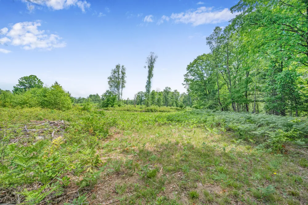 8558 Monterey  Dr Evart, MI 49631