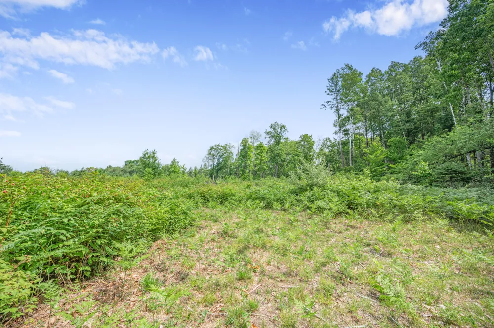 8558 Monterey  Dr Evart, MI 49631