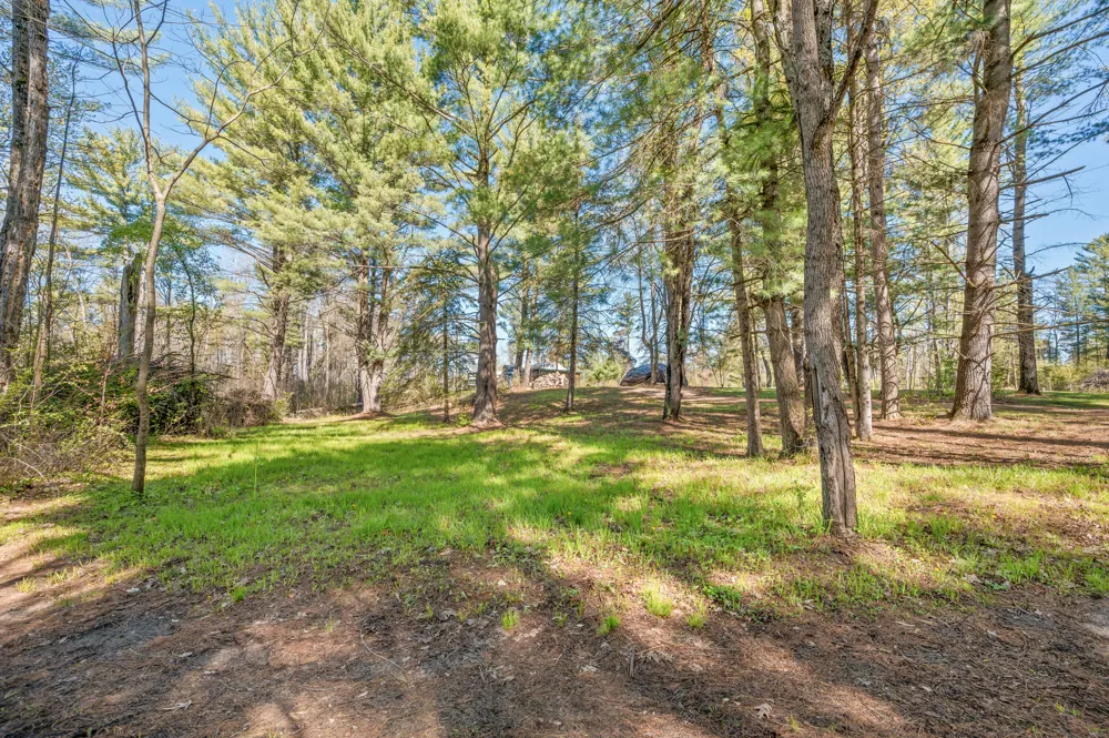 8558 Monterey  Dr Evart, MI 49631