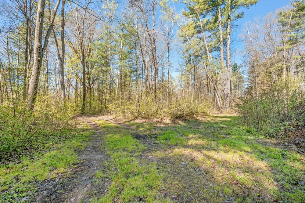 8558 Monterey  Dr Evart, MI 49631