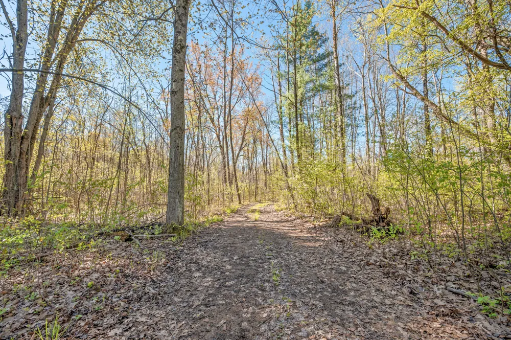 8558 Monterey  Dr Evart, MI 49631