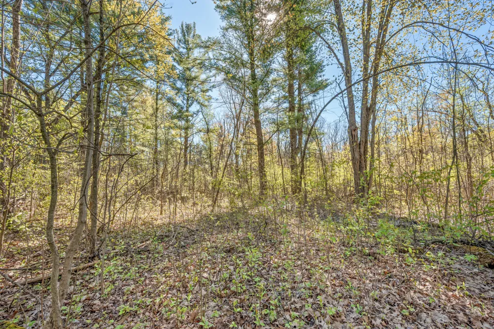 8558 Monterey  Dr Evart, MI 49631