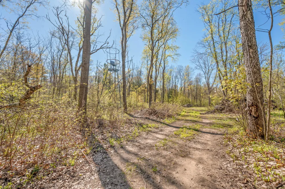 8558 Monterey  Dr Evart, MI 49631