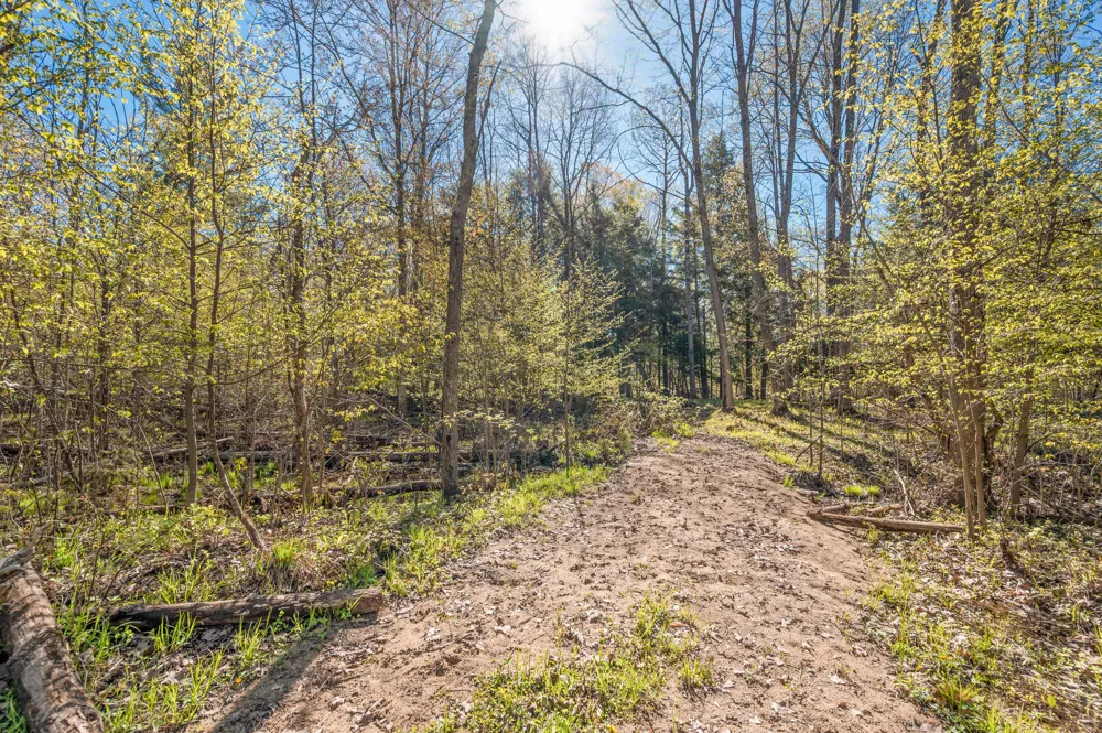 8558 Monterey  Dr Evart, MI 49631