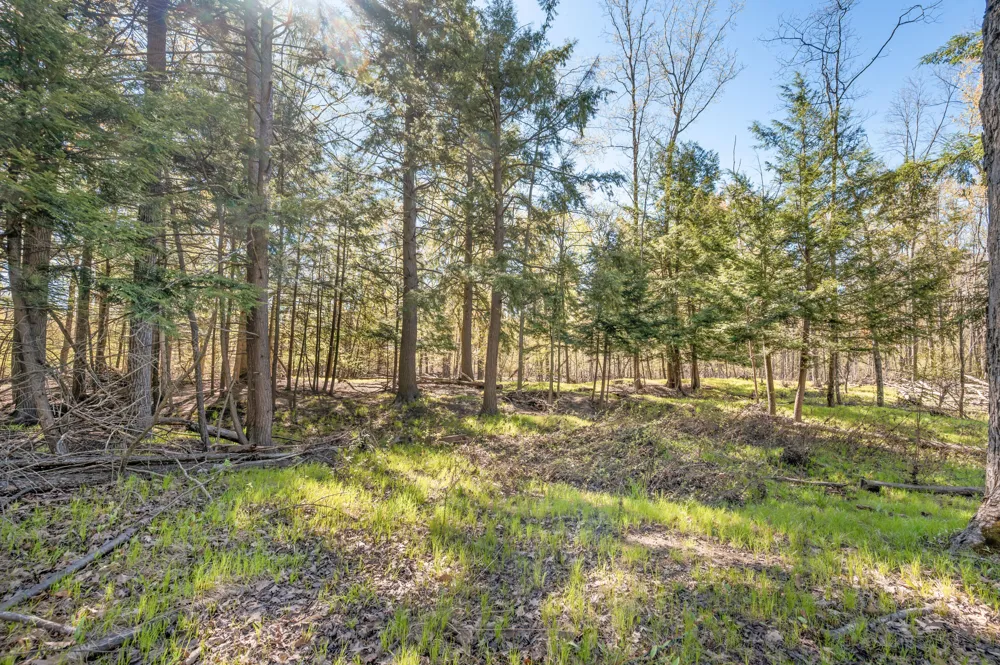 8558 Monterey  Dr Evart, MI 49631