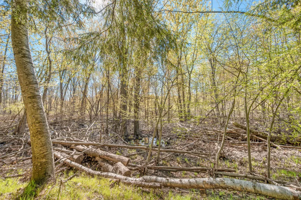 8558 Monterey  Dr Evart, MI 49631