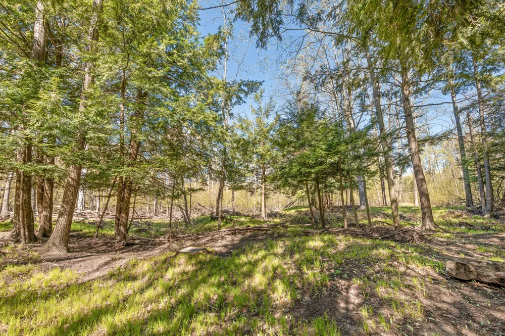 8558 Monterey  Dr Evart, MI 49631