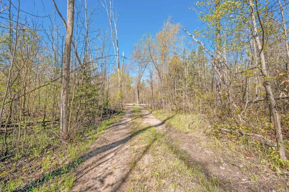 8558 Monterey  Dr Evart, MI 49631