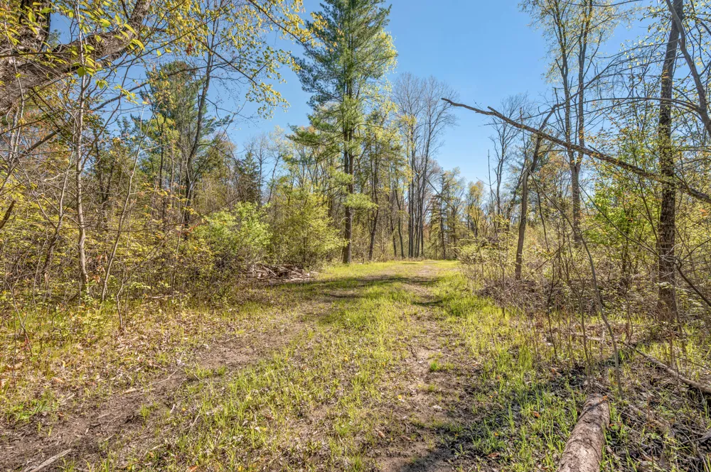 8558 Monterey  Dr Evart, MI 49631
