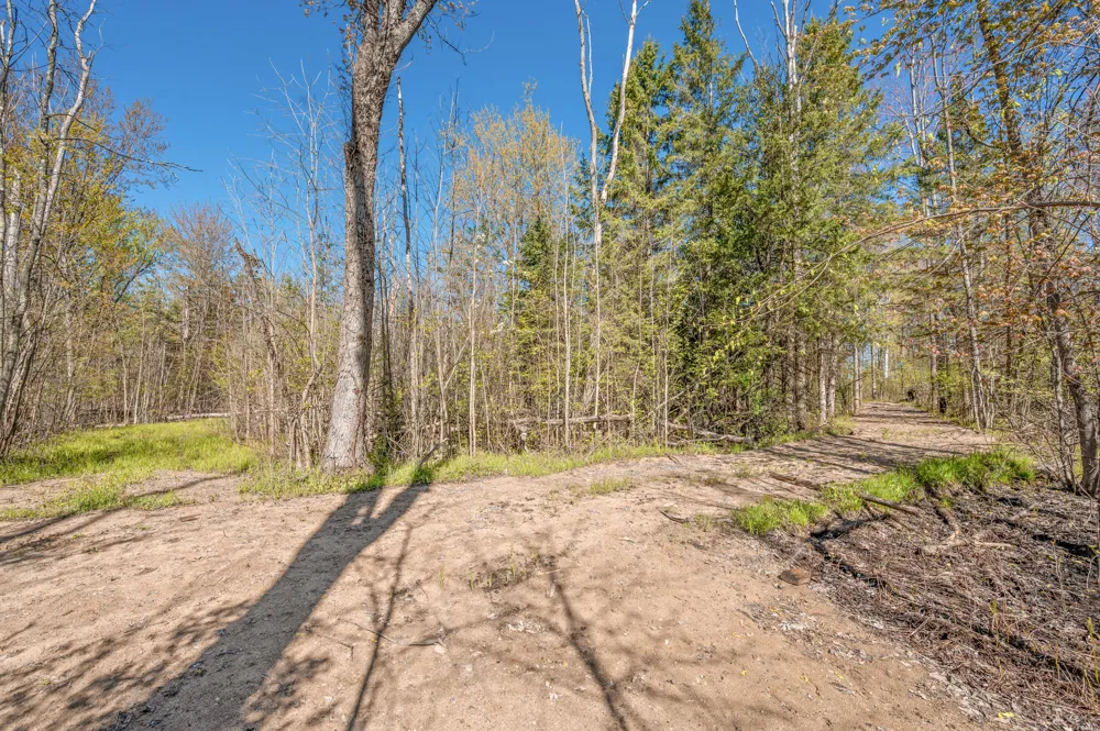 8558 Monterey  Dr Evart, MI 49631