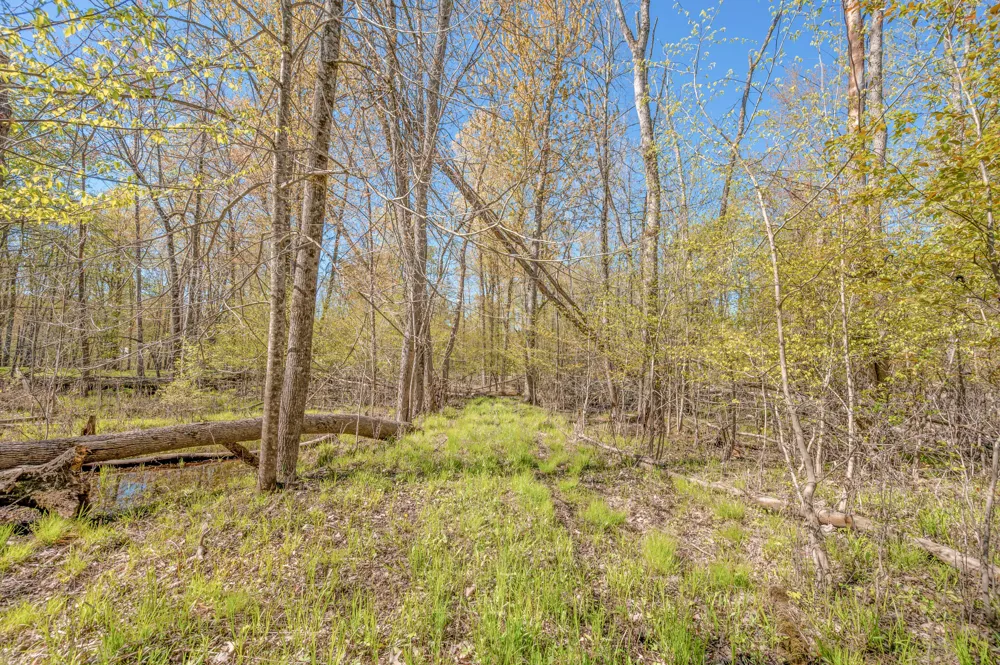 8558 Monterey  Dr Evart, MI 49631