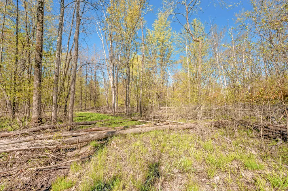 8558 Monterey  Dr Evart, MI 49631