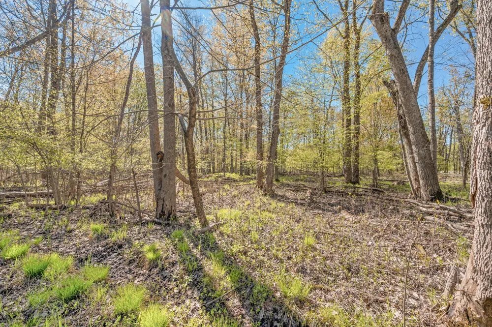 8558 Monterey  Dr Evart, MI 49631