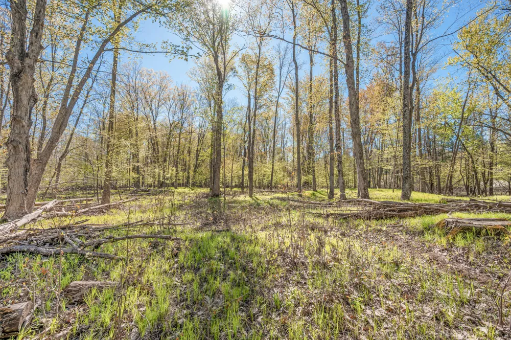 8558 Monterey  Dr Evart, MI 49631