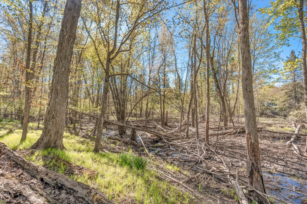 8558 Monterey  Dr Evart, MI 49631