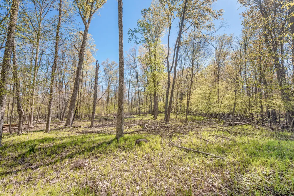 8558 Monterey  Dr Evart, MI 49631