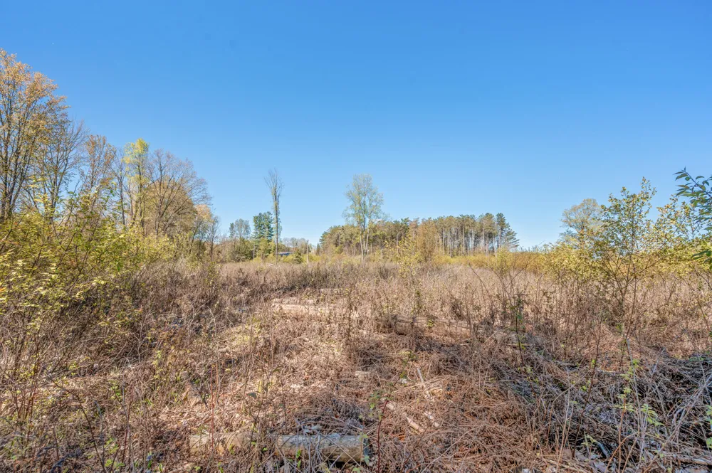 8558 Monterey  Dr Evart, MI 49631
