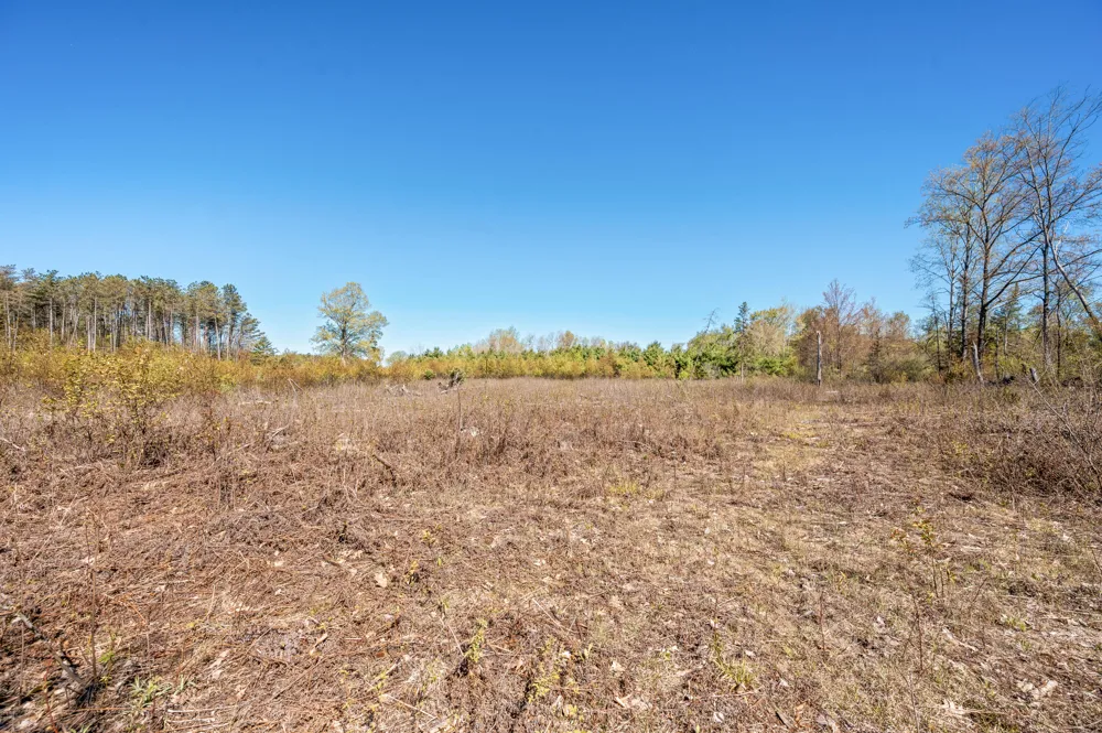 8558 Monterey  Dr Evart, MI 49631