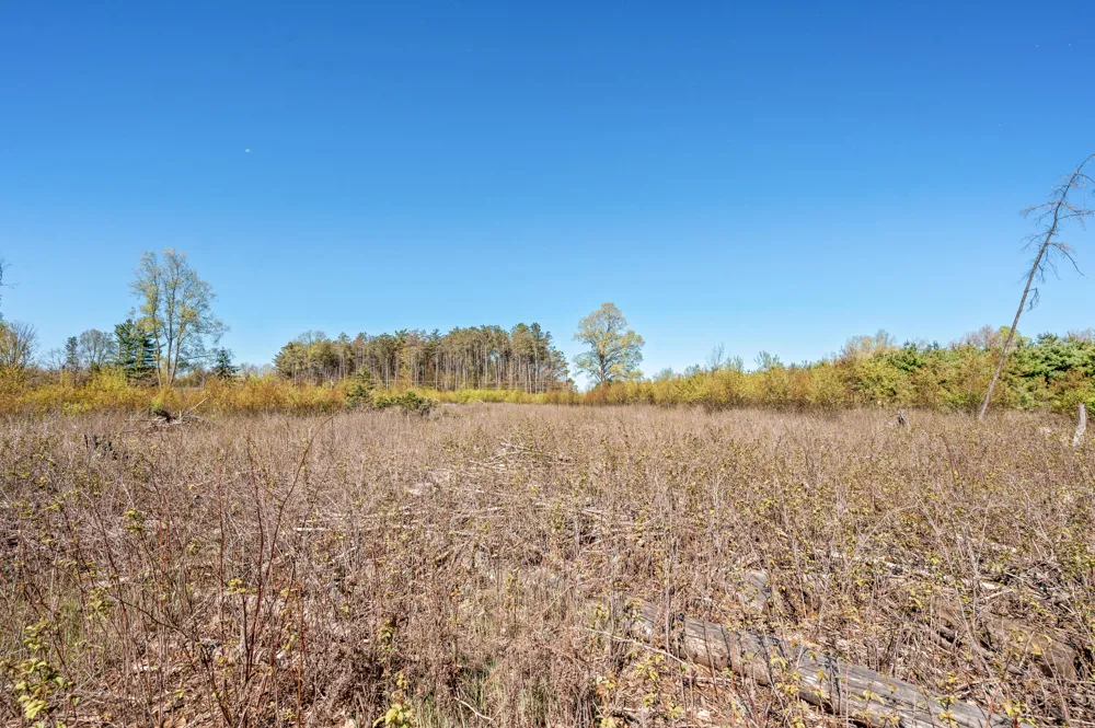 8558 Monterey  Dr Evart, MI 49631