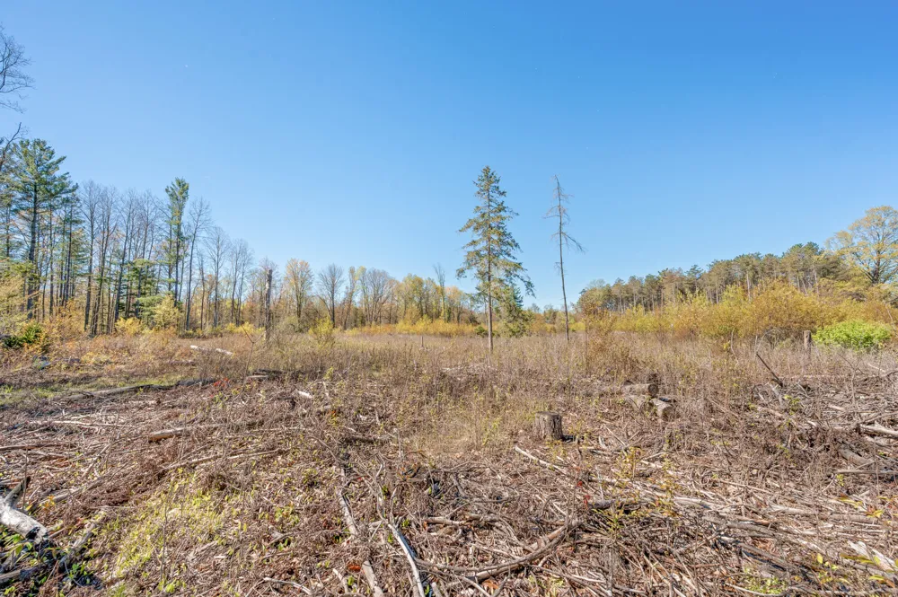 8558 Monterey  Dr Evart, MI 49631