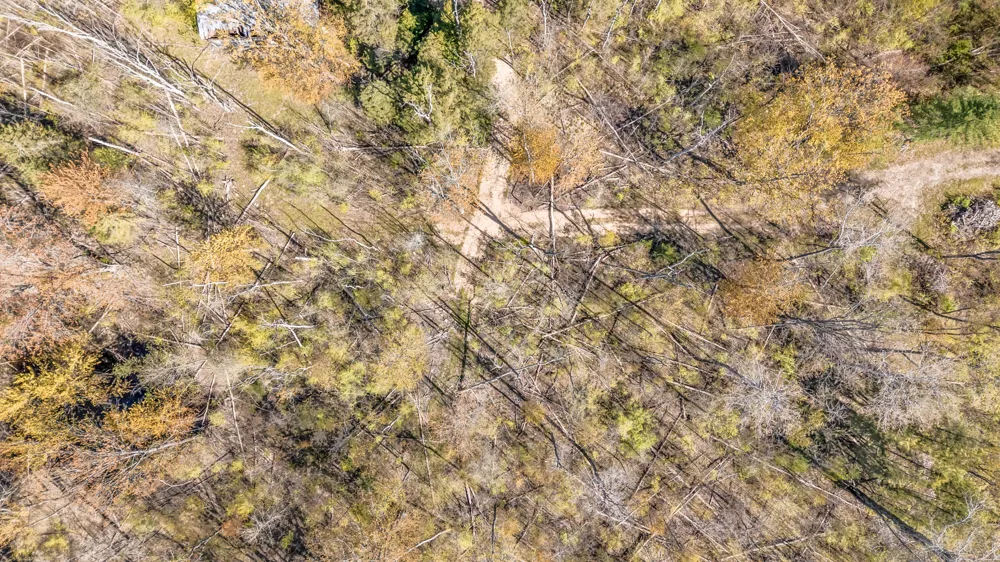 8558 Monterey  Dr Evart, MI 49631