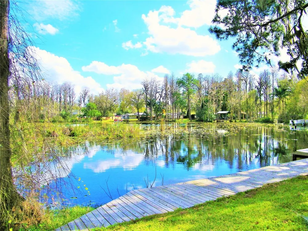 17017 PAULA LANE Lutz, FL 33558