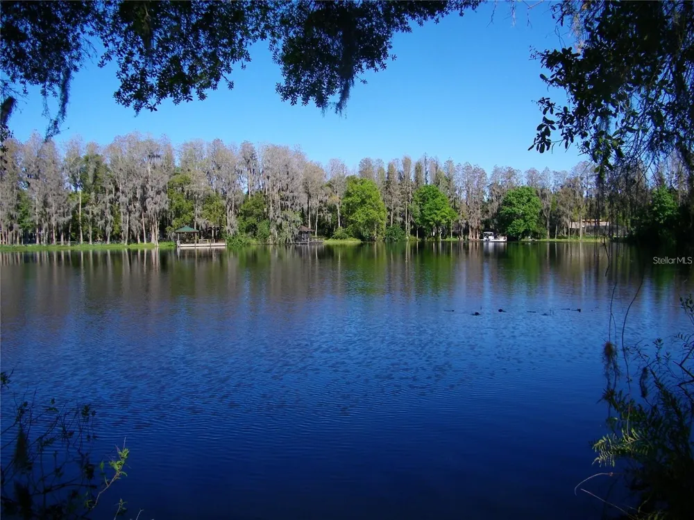 17017 PAULA LANE Lutz, FL 33558