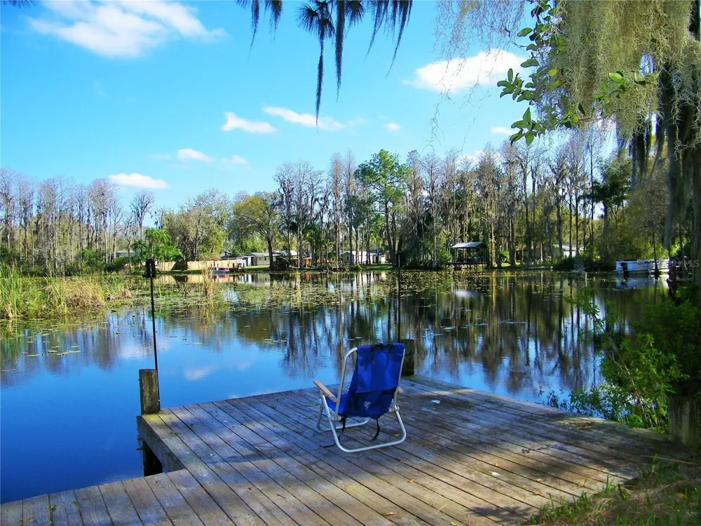 17017 PAULA LANE Lutz, FL 33558