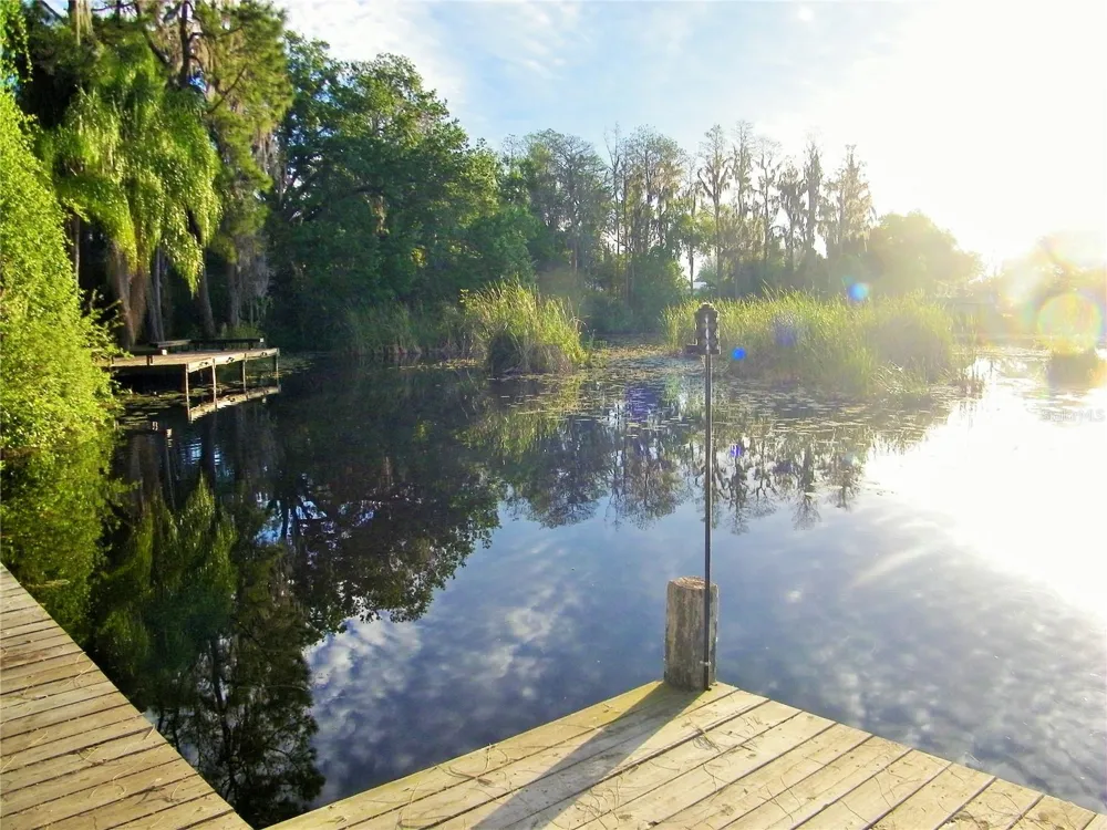 17017 PAULA LANE Lutz, FL 33558