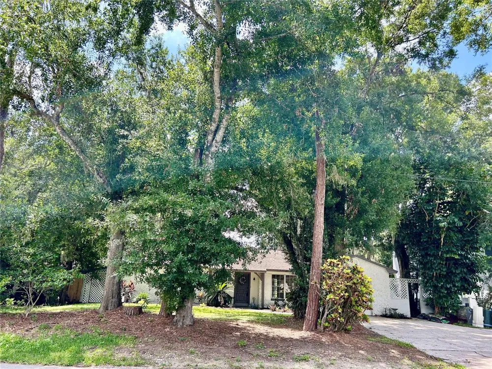 17017 PAULA LANE Lutz, FL 33558