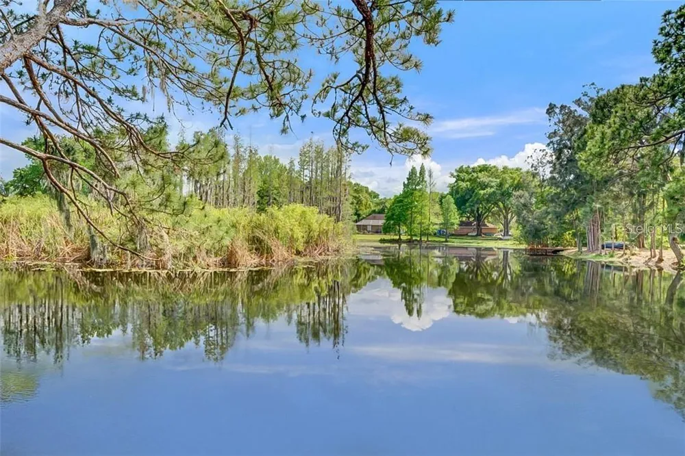 17017 PAULA LANE Lutz, FL 33558