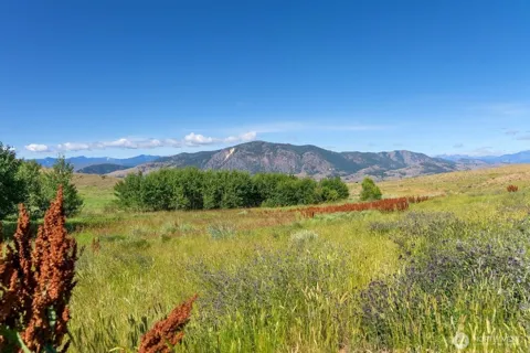 121 Finley Canyon Road