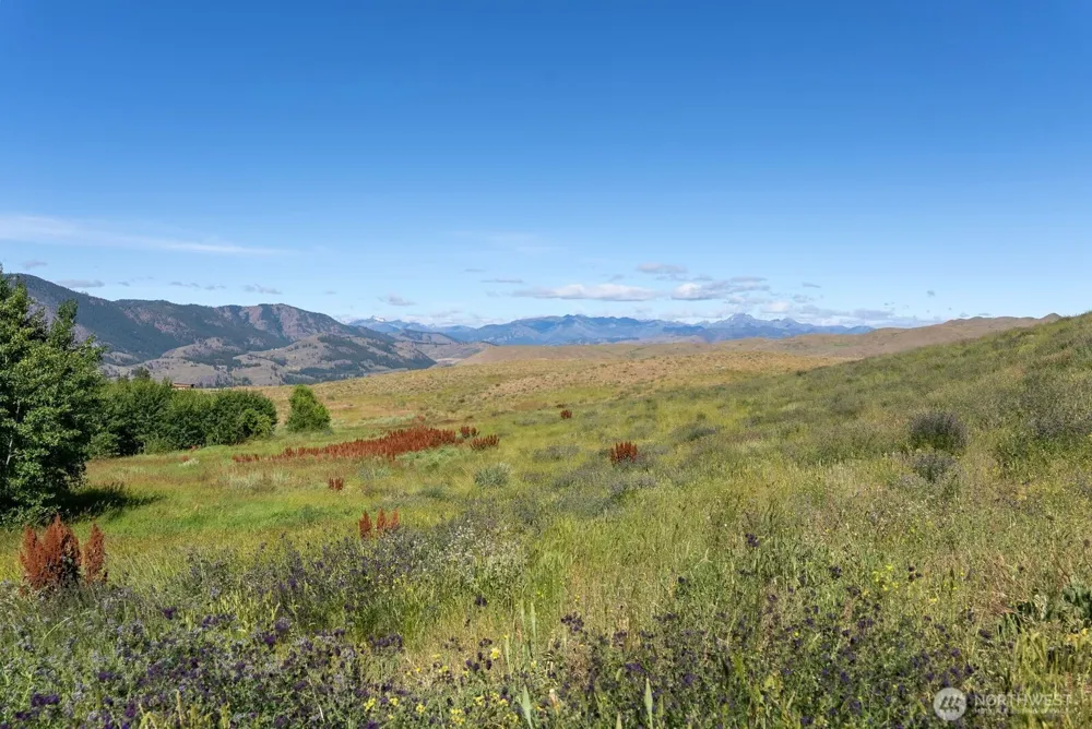 121 Finley Canyon Road Twisp, WA 98856