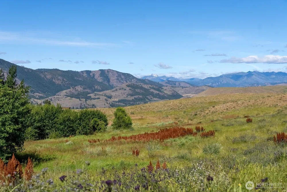 121 Finley Canyon Road Twisp, WA 98856