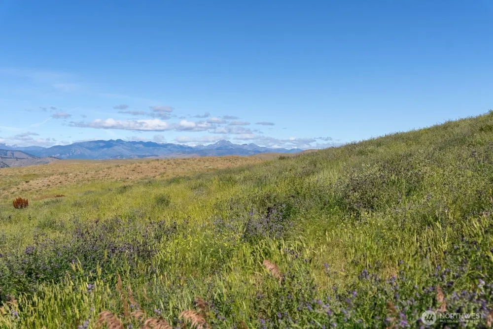 121 Finley Canyon Road Twisp, WA 98856
