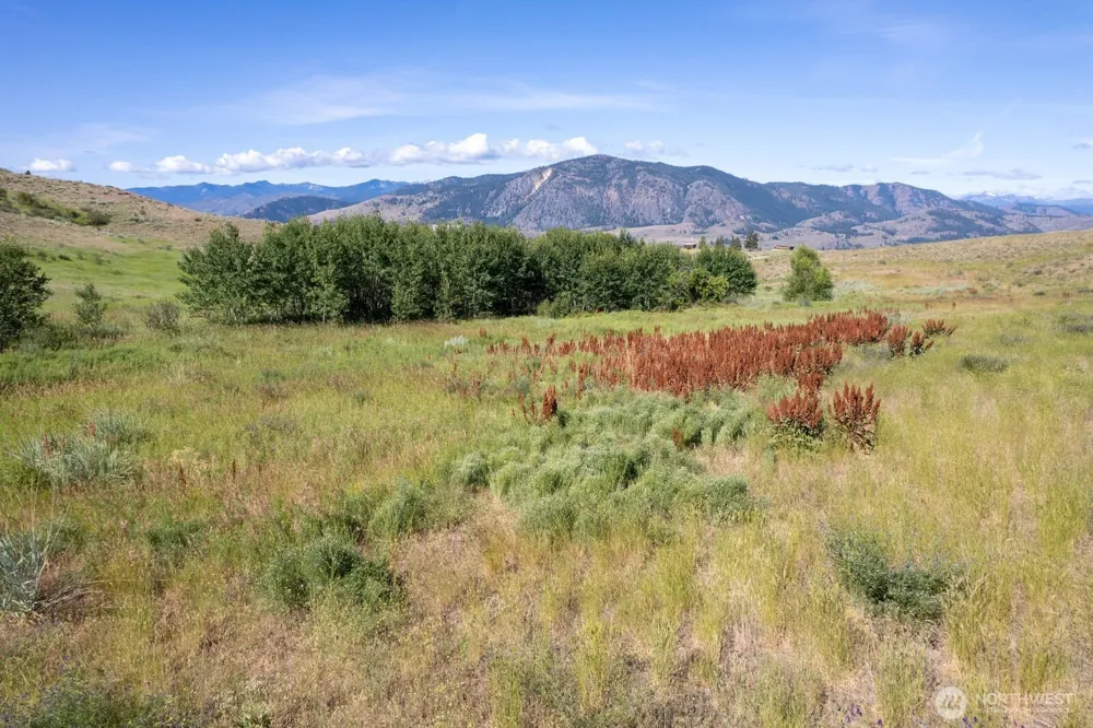 121 Finley Canyon Road Twisp, WA 98856