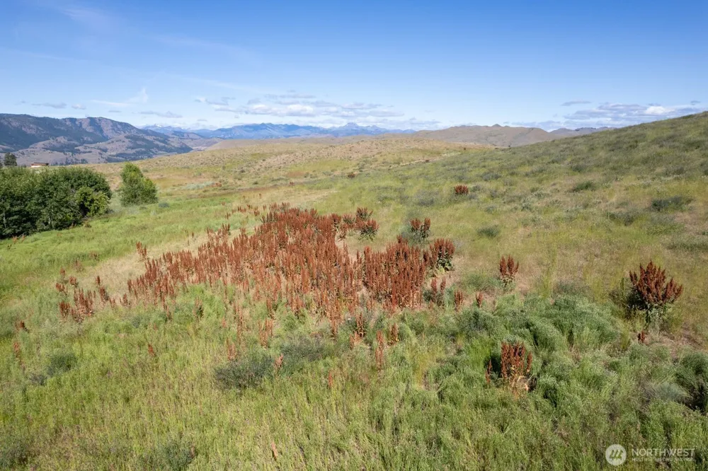 121 Finley Canyon Road Twisp, WA 98856