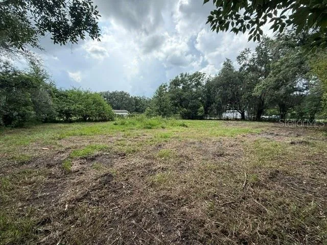 3011 S WIGGINS ROAD Plant City, FL 33566