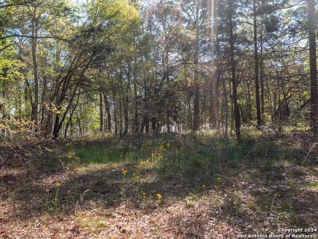 3108 Shadow Pine Drive Larue, TX 75770
