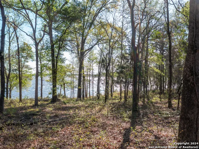 3108 Shadow Pine Drive Larue, TX 75770
