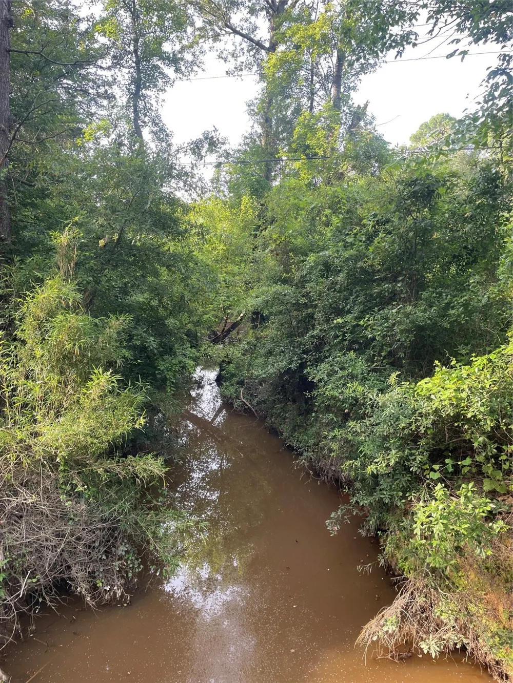 Fm-16 Winona, TX 75792