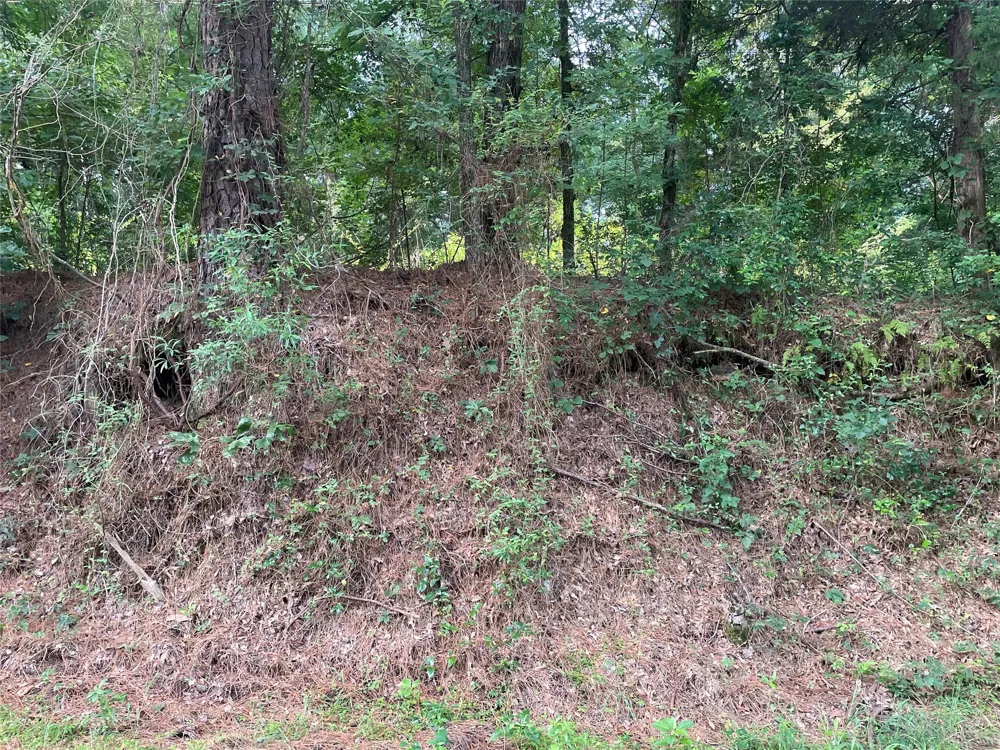 Fm-16 Winona, TX 75792